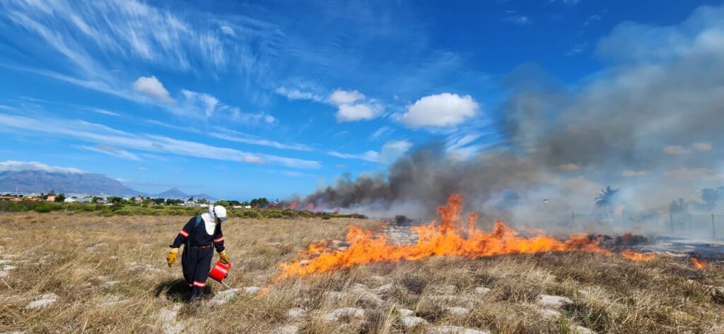 fire season in the western cape CoCT